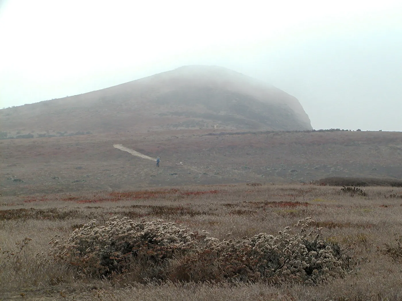 Santa Barbara Island trip, Signal Peak