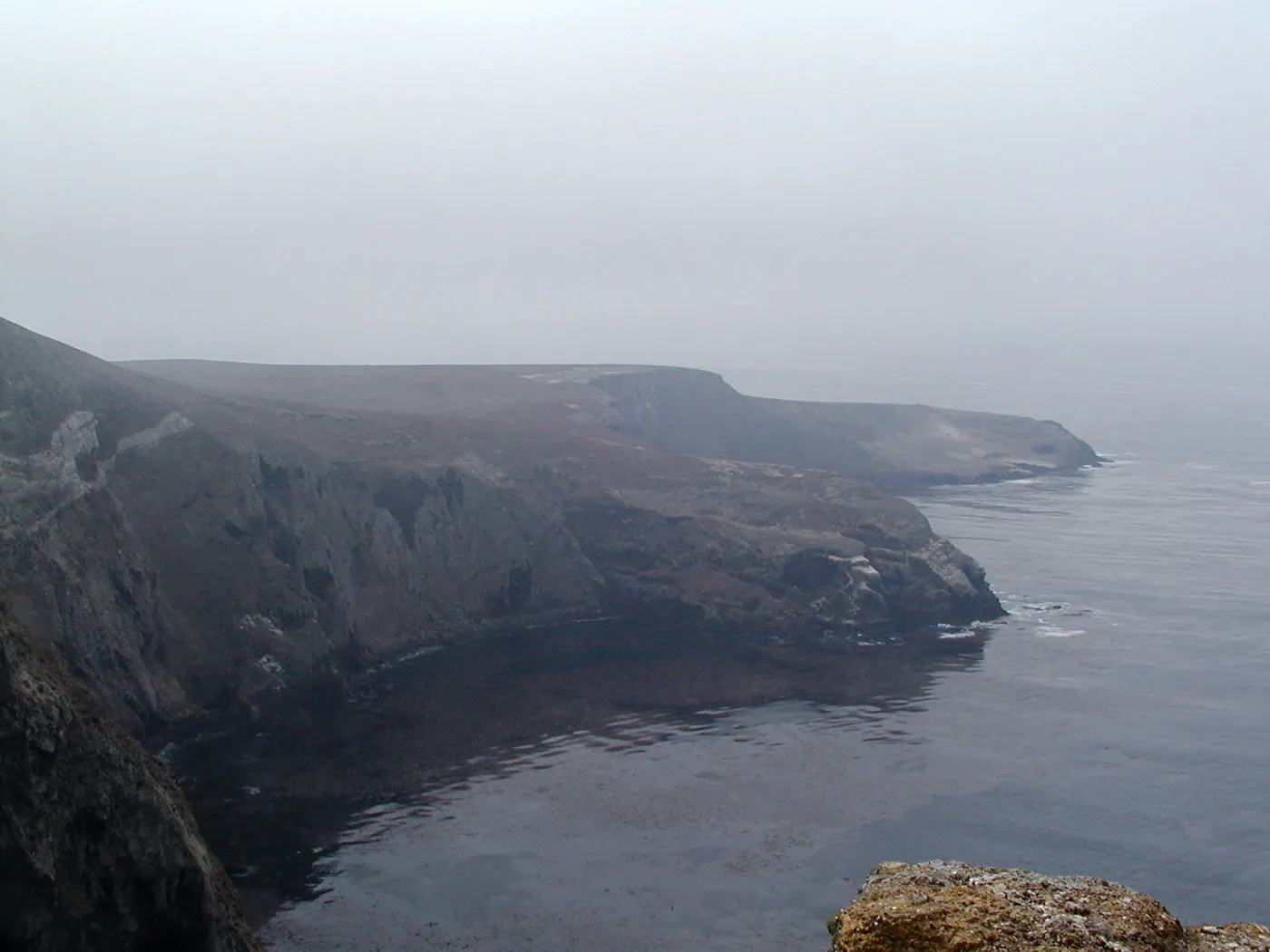 Santa Barbara Island trip, Foggy coastline