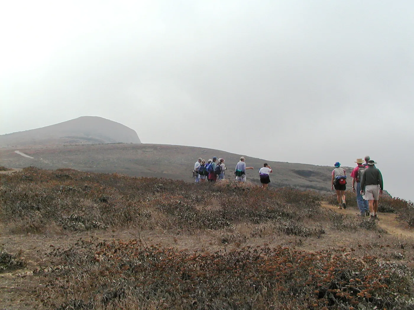 Santa Barbara Island trip, trail to Signal Peak