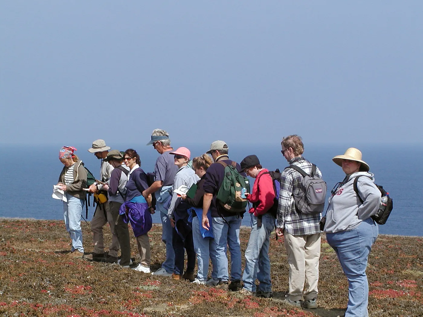 Santa Barbara Island Trip