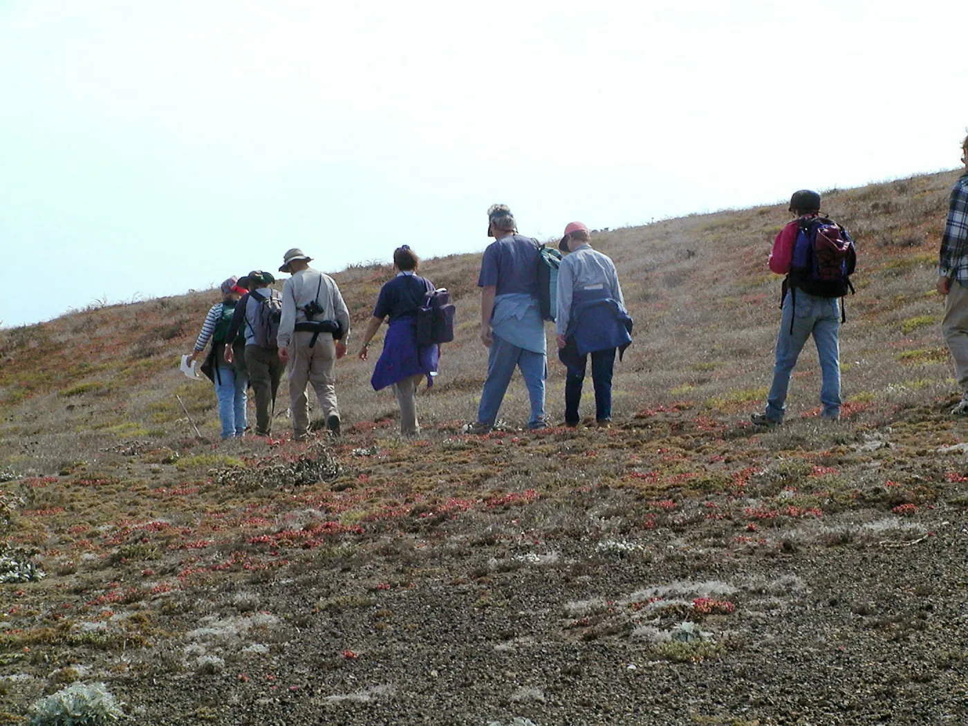 Santa Barbara Island Trip