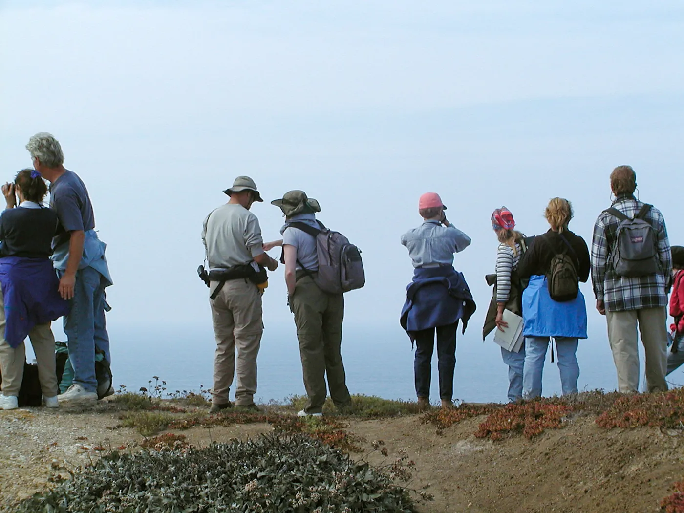 Santa Barbara Island Trip