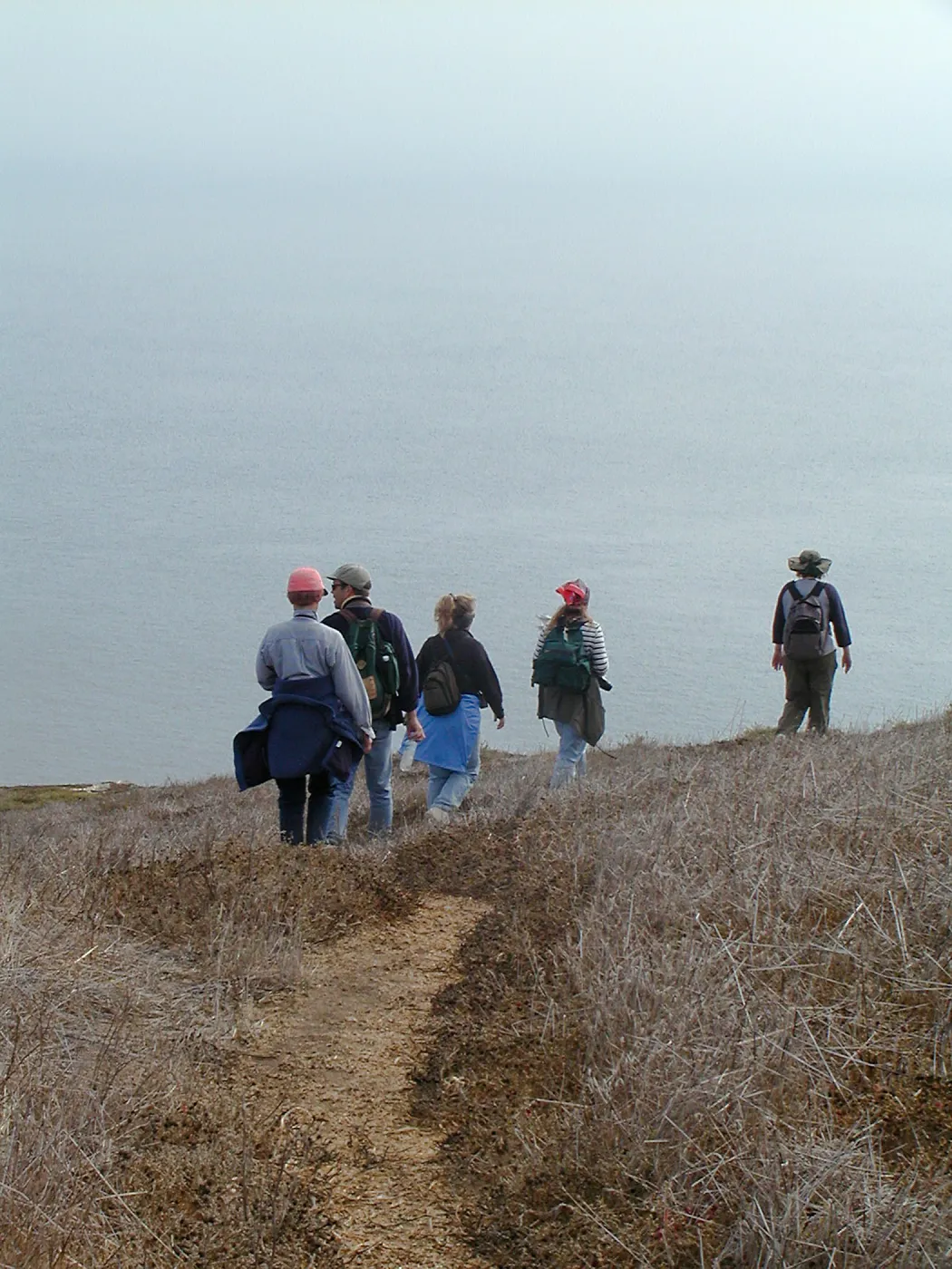 Santa Barbara Island Trip, Hiking away