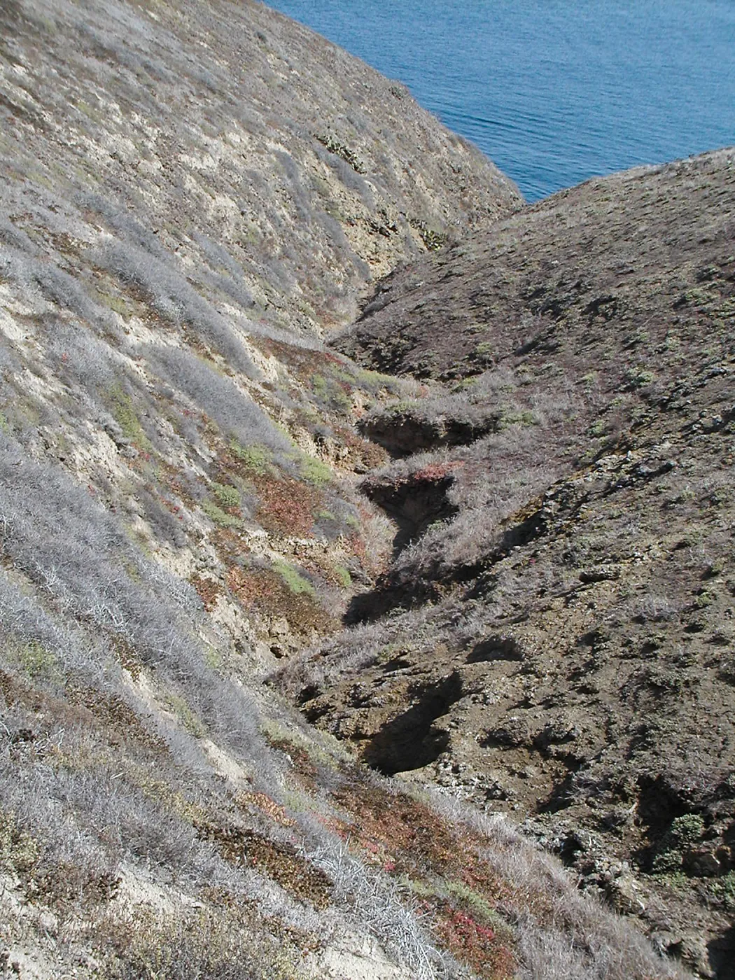 Santa Barbara Island Trip