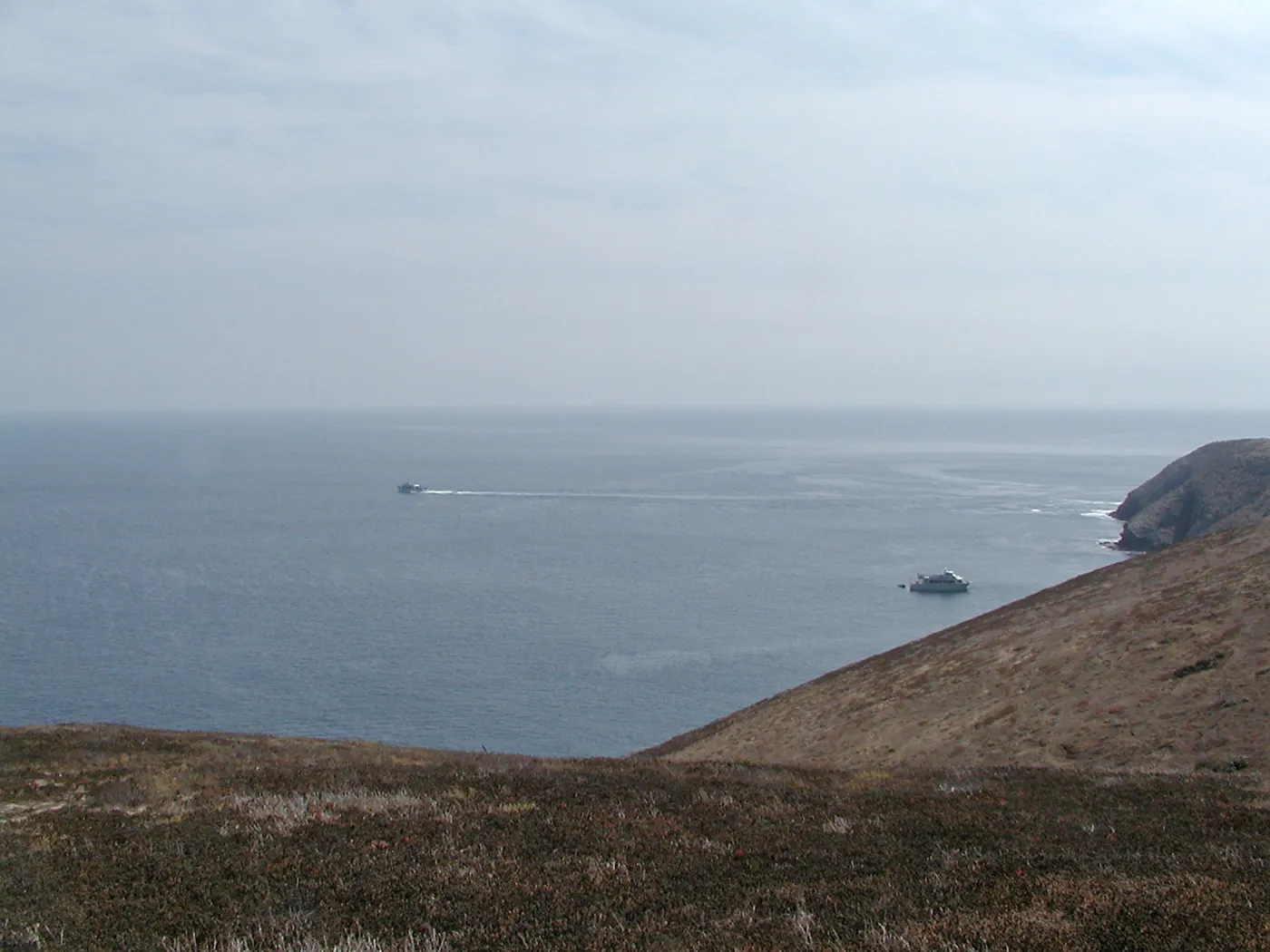 Santa Barbara Island Trip