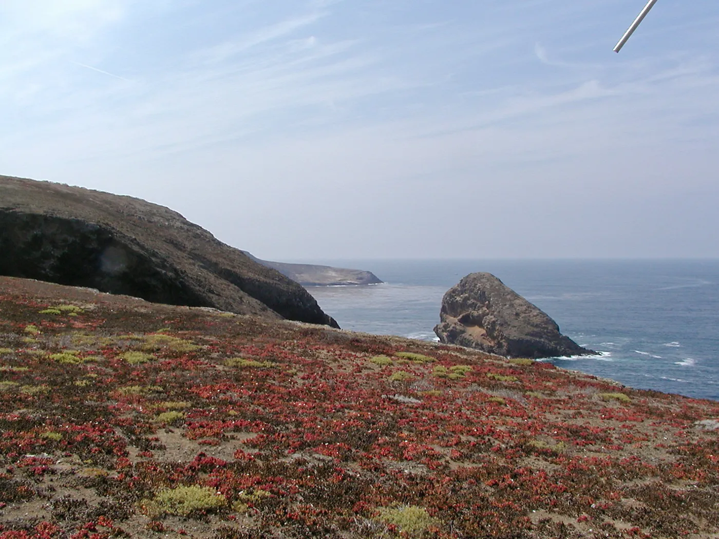 Santa Barbara Island Trip, Shag Rock
