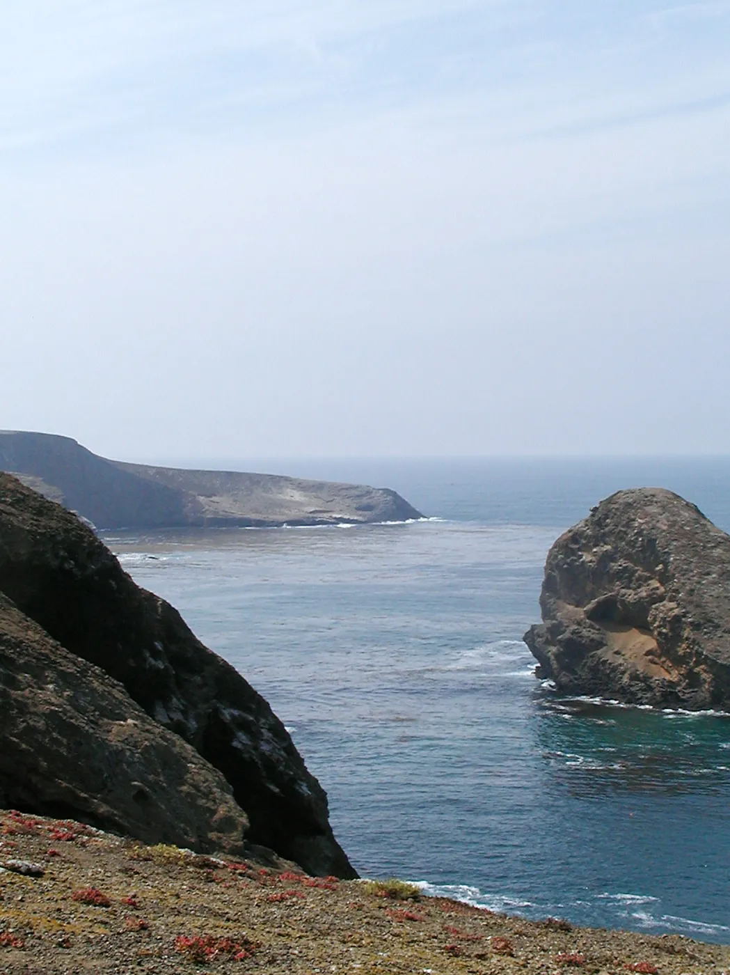 Santa Barbara Island Trip, Shag Rock