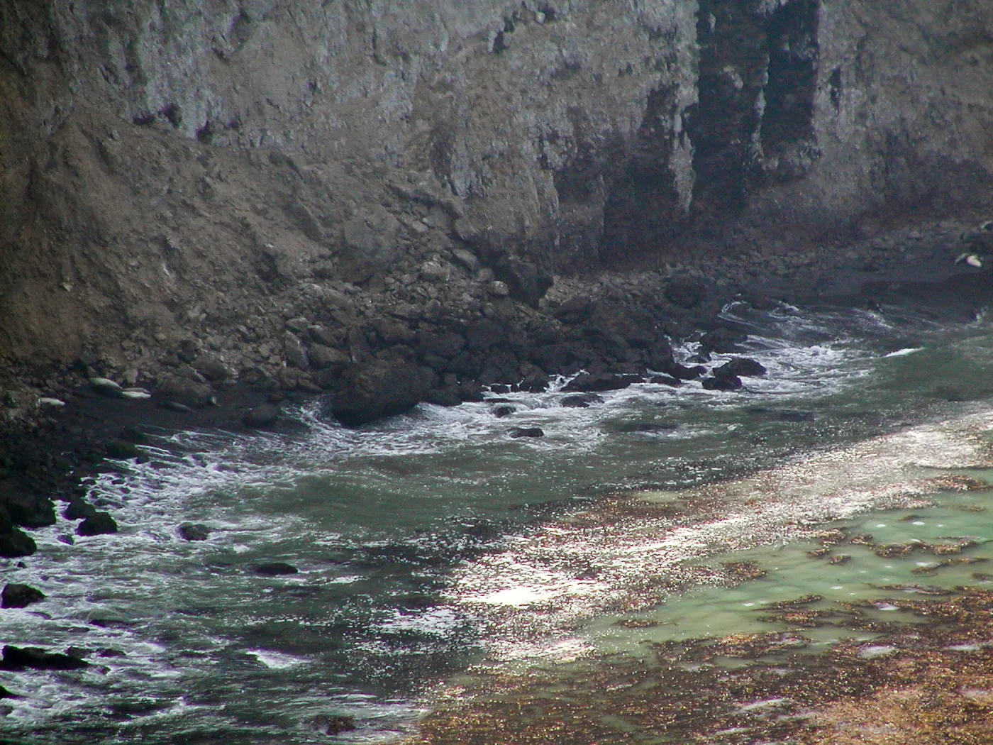 Santa Barbara Island Trip