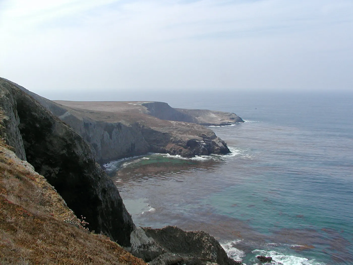 Santa Barbara Island Trip