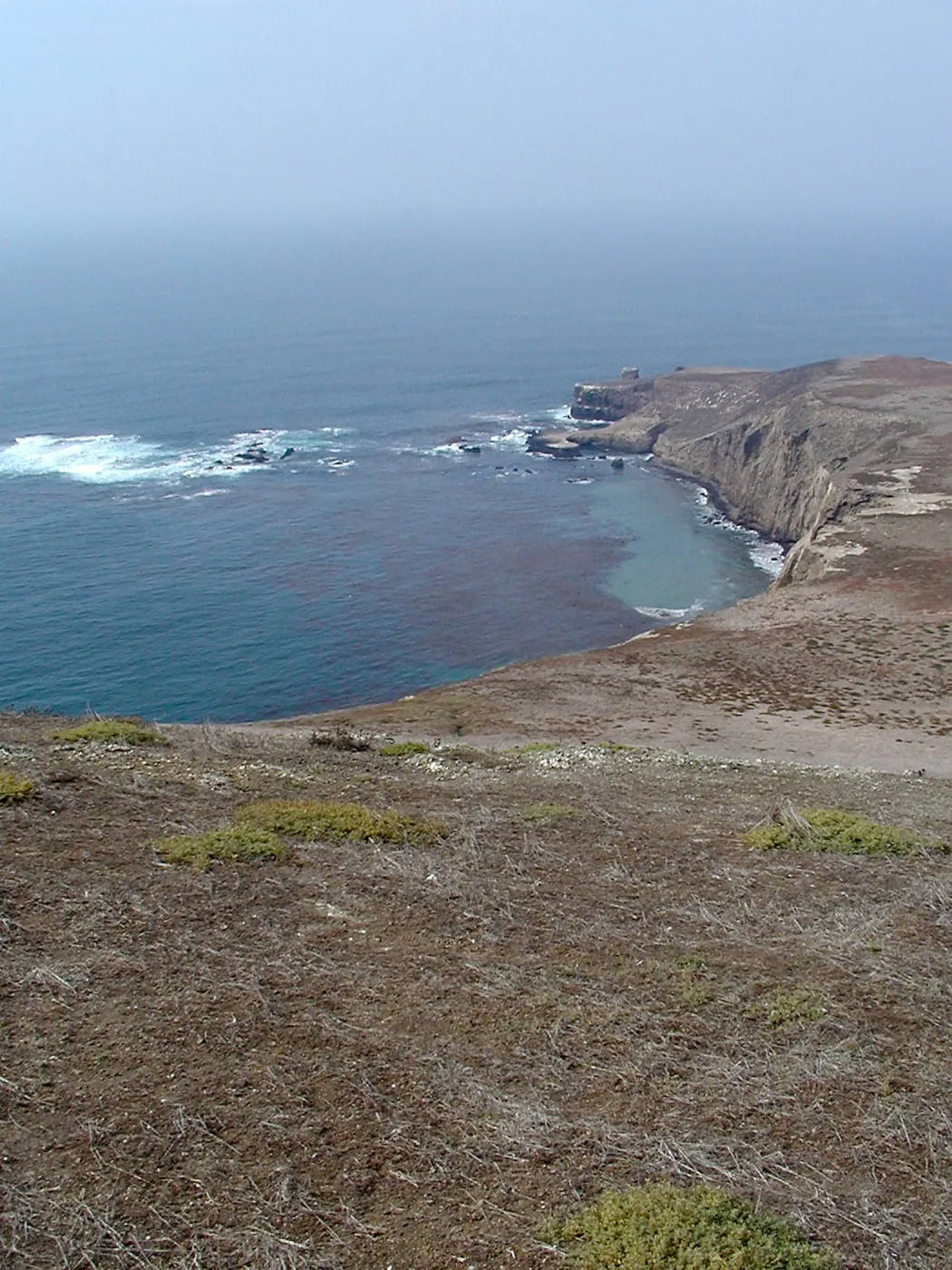 Santa Barbara Island Trip