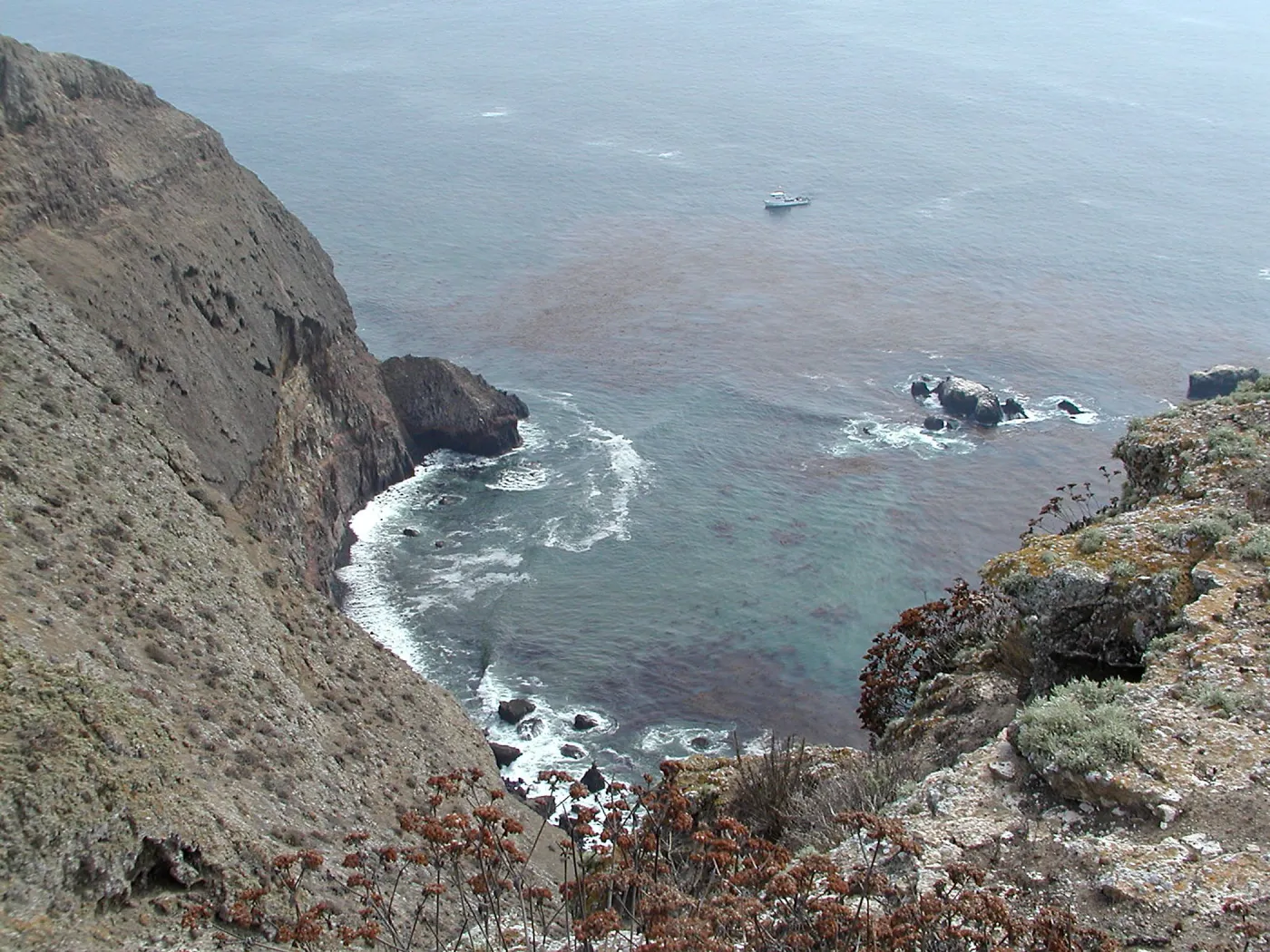 Santa Barbara Island Trip, south end steep view