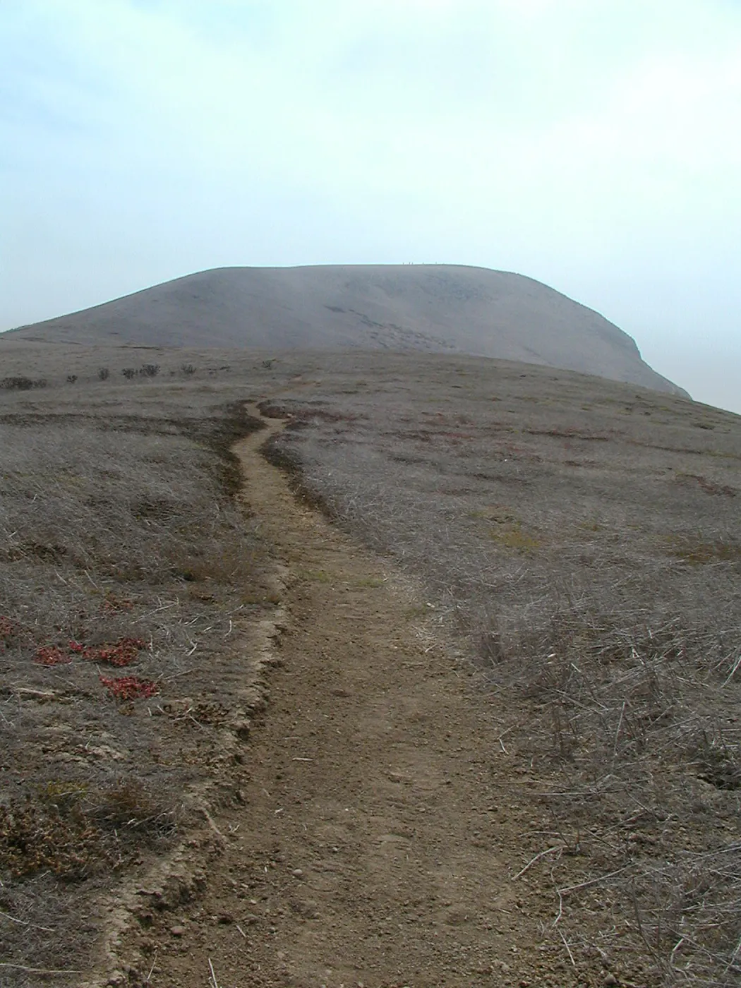 Santa Barbara Island Trip, Signal Peak