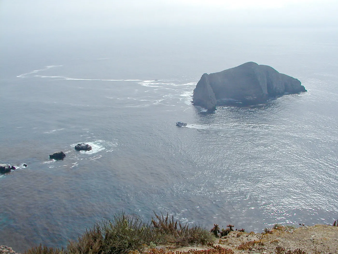 Santa Barbara Island Trip, Sutil Island