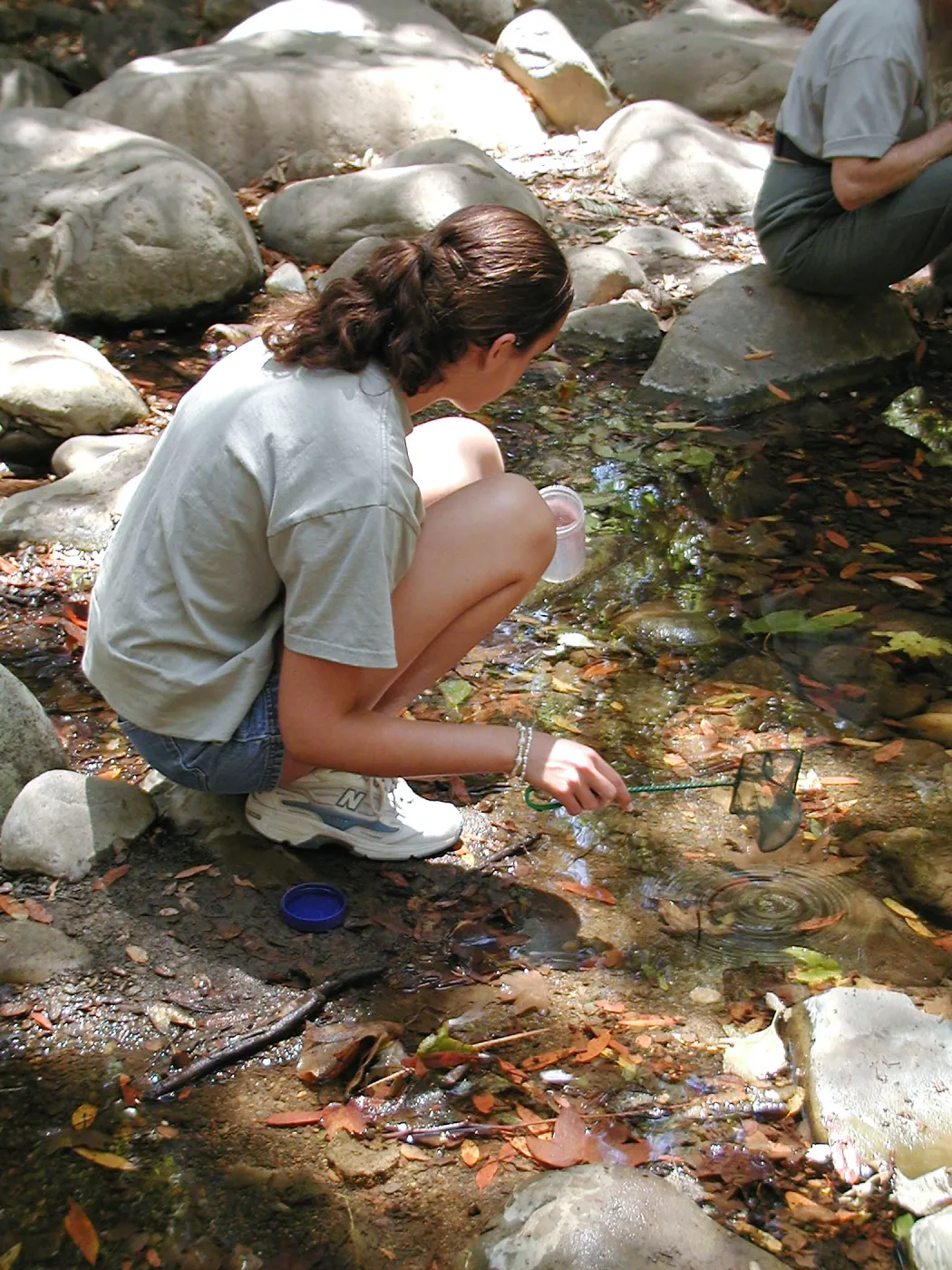 Summer Camp 2003, looking for creatures in Mission Creek