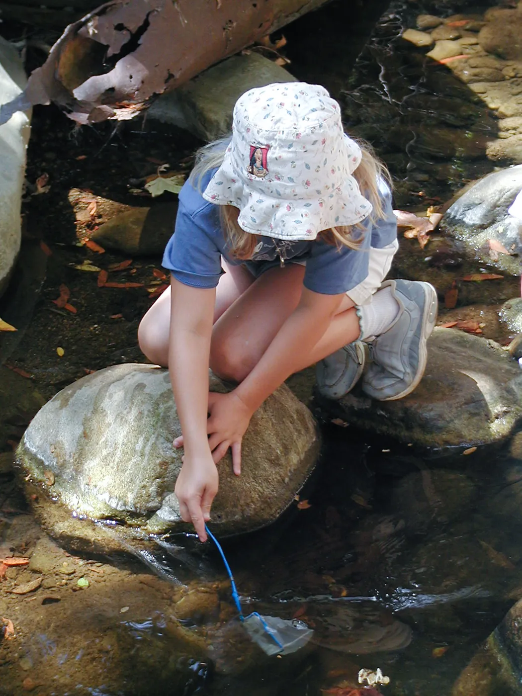 Summer Camp 2003, looking for creatures in Mission Creek
