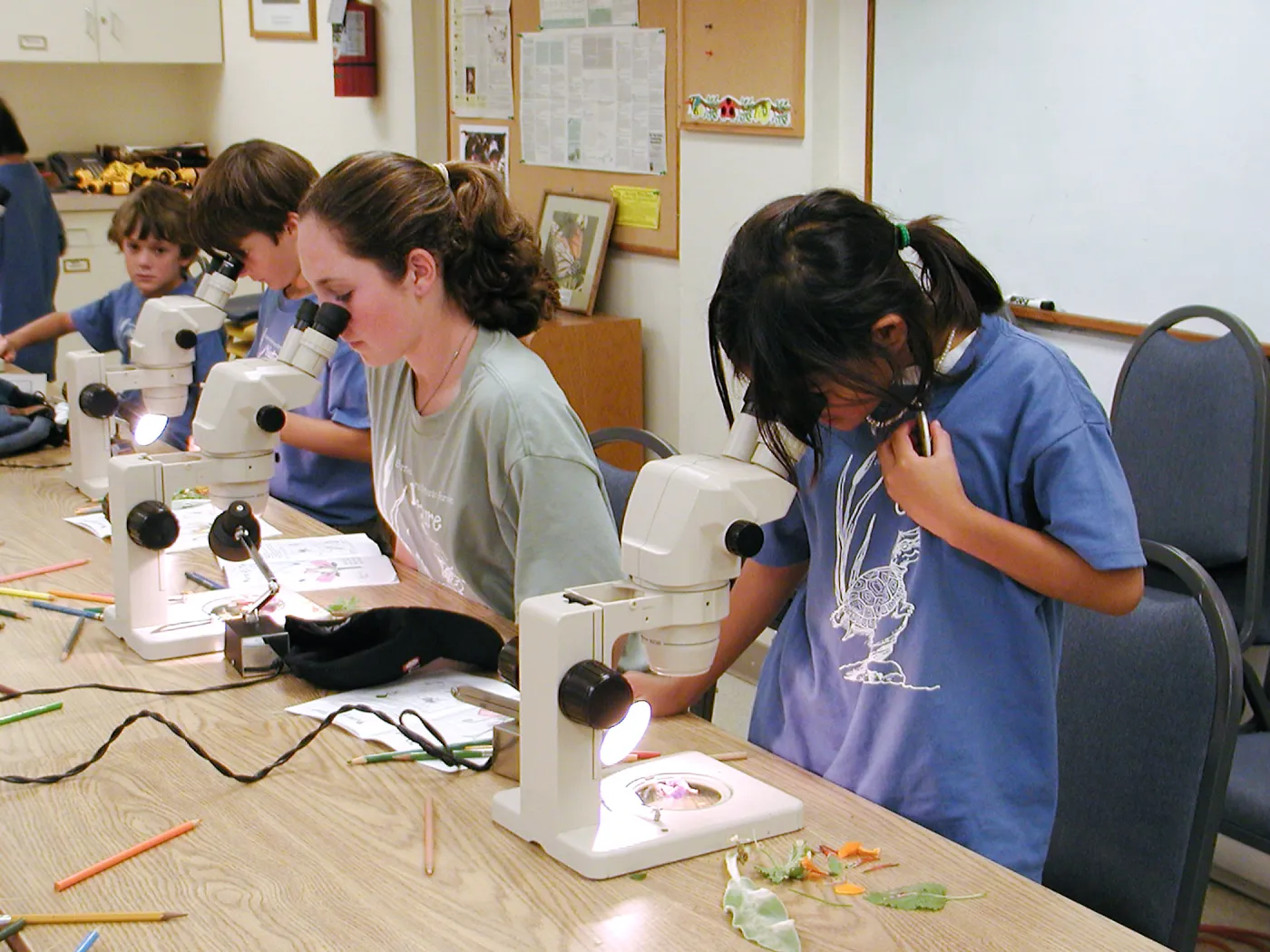 Summer Camp 2003, parts of a flower lab