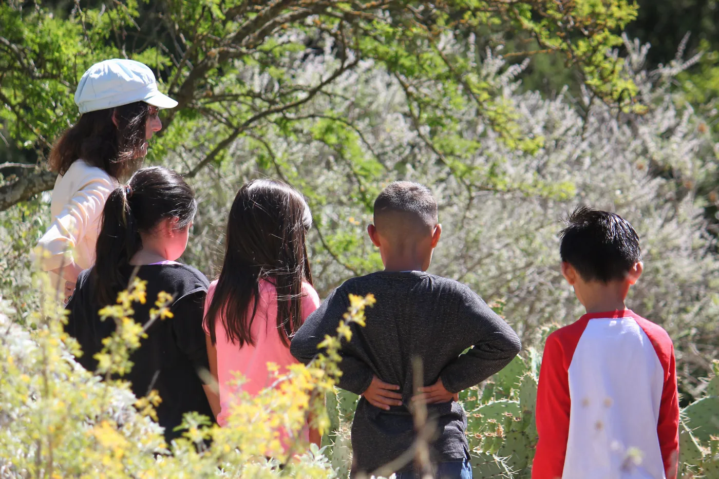 Docent led Chumash Uses of Plants tour for 2nd graders from Norman Brekke School