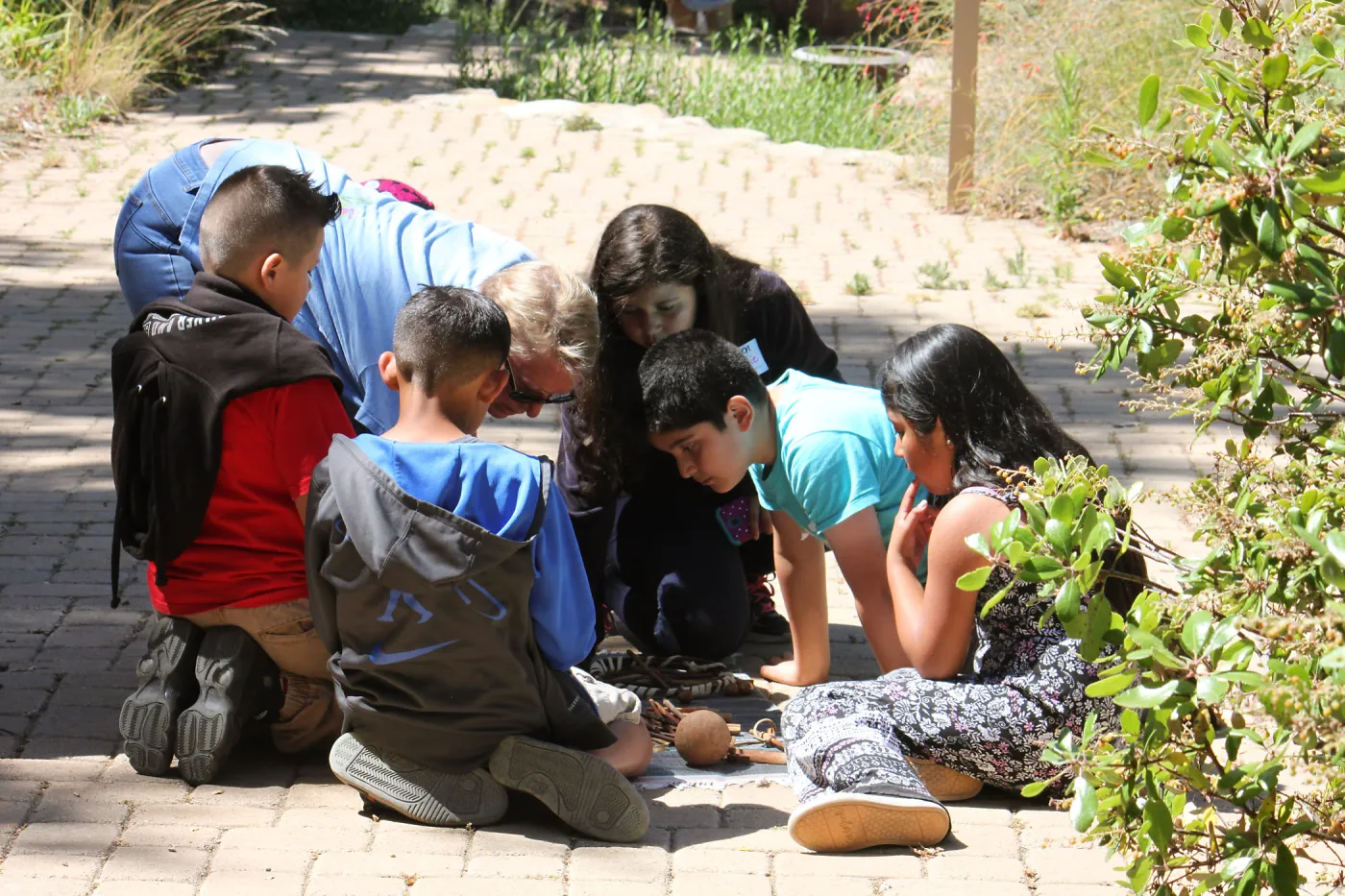 Docent led Chumash Uses of Plants tour for 2nd graders from Norman Brekke School