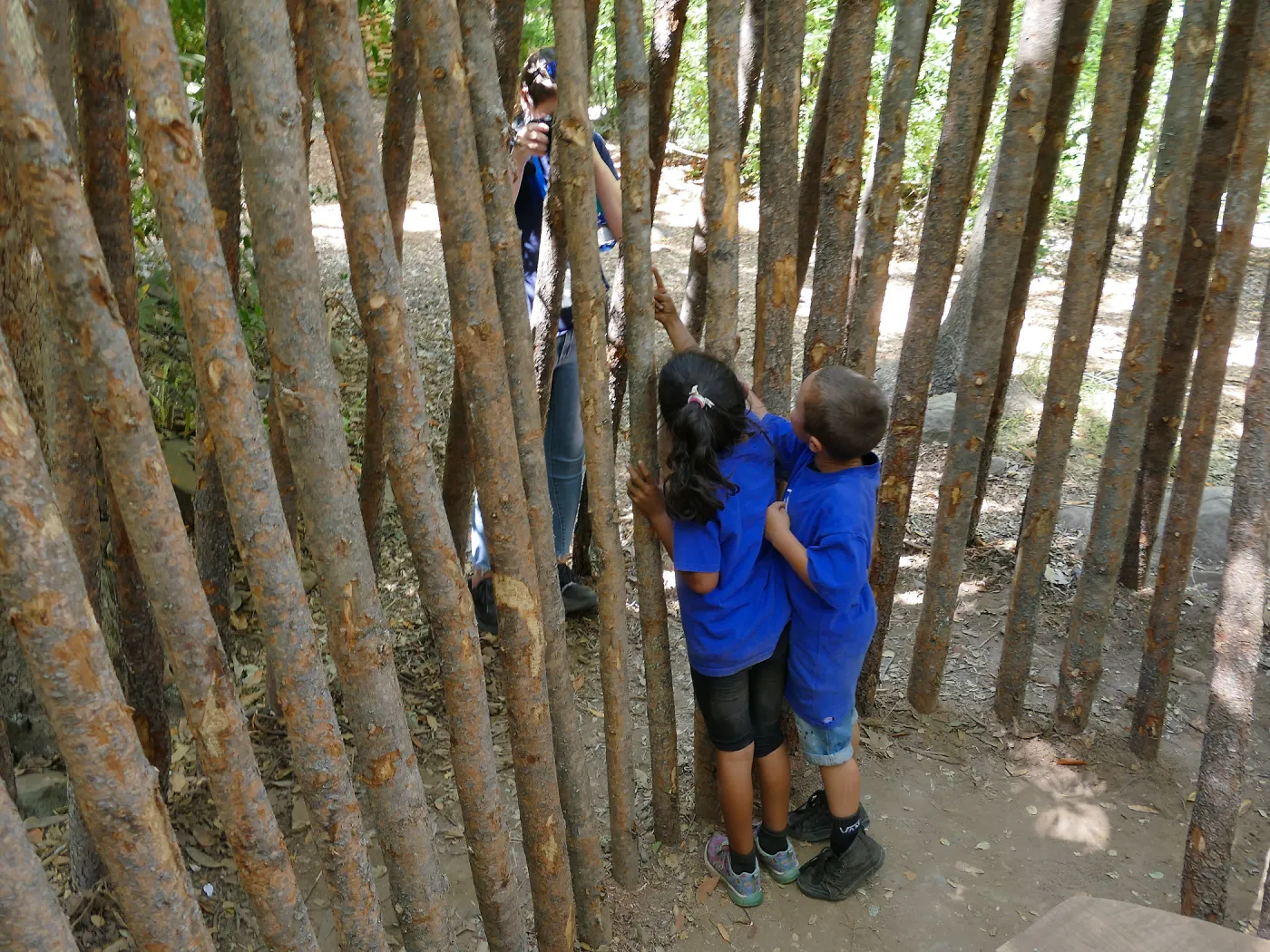 Boys & Girls Club kids at the Understory Casita
