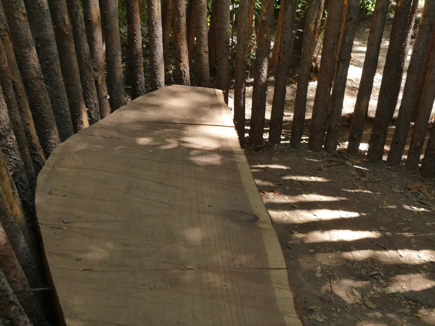 Bench in the Understory Casita