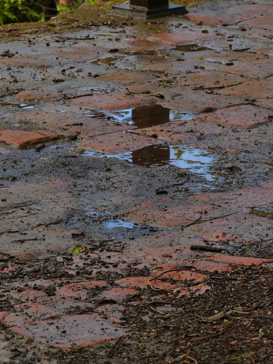 Reflection on Mission Dam tiles after a rainstorm