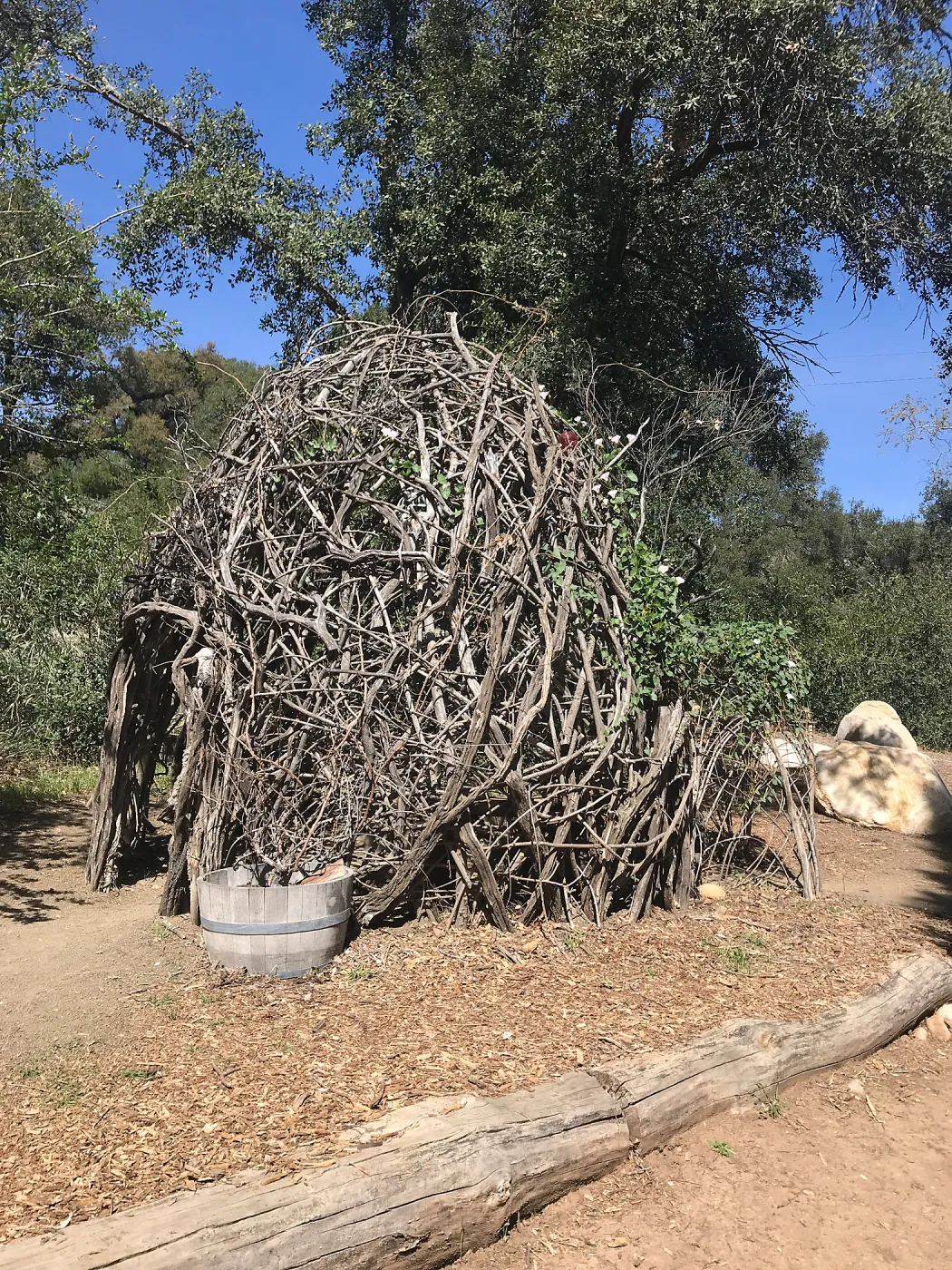 Woodrat House Casita