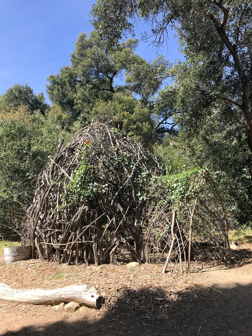 Woodrat House Casita