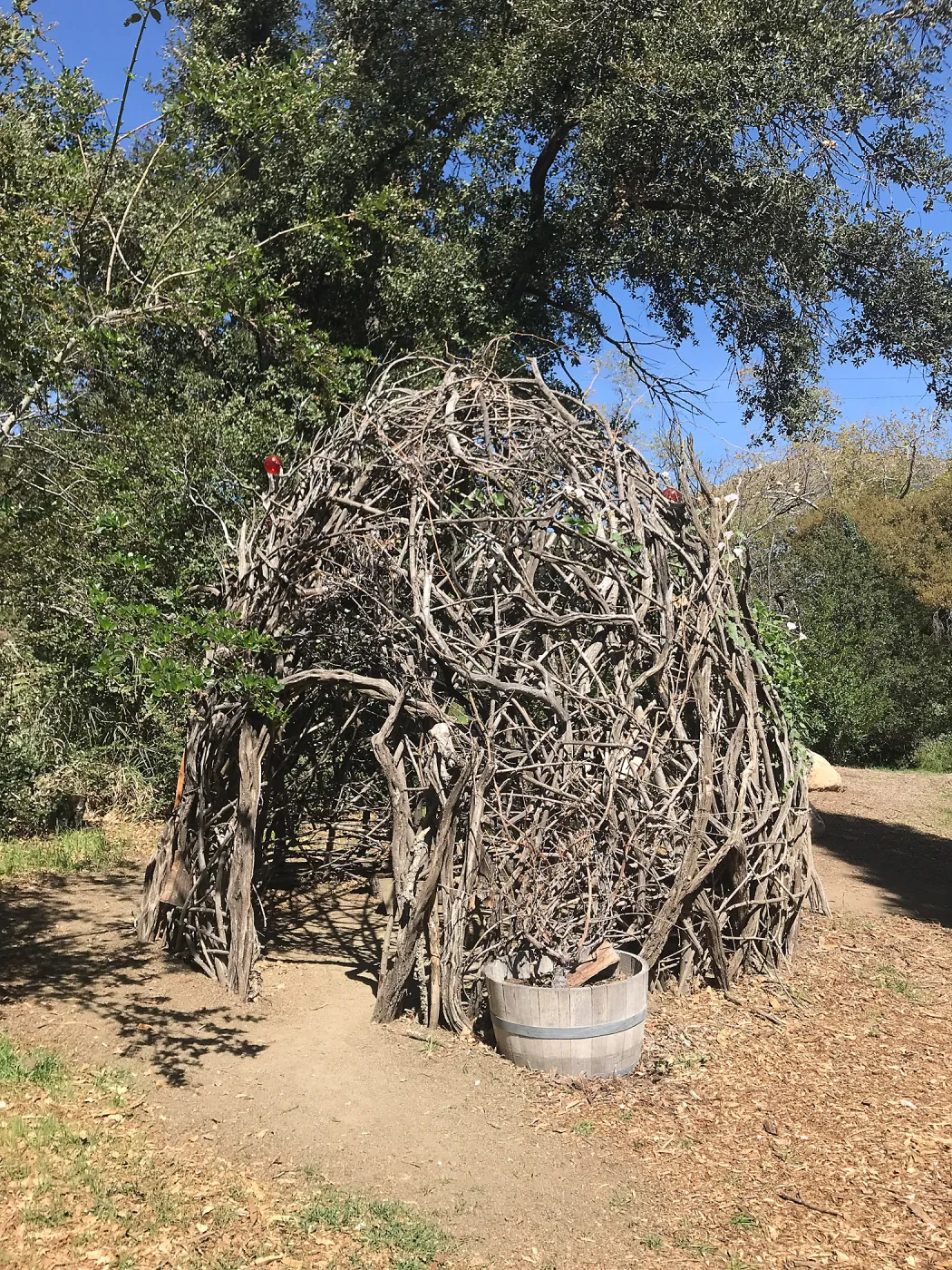 Woodrat House Casita