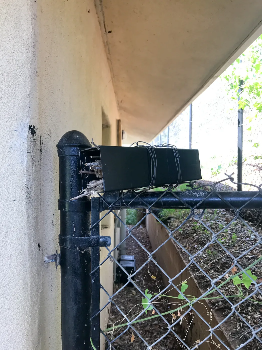 Native bee home at the Hort Unit
