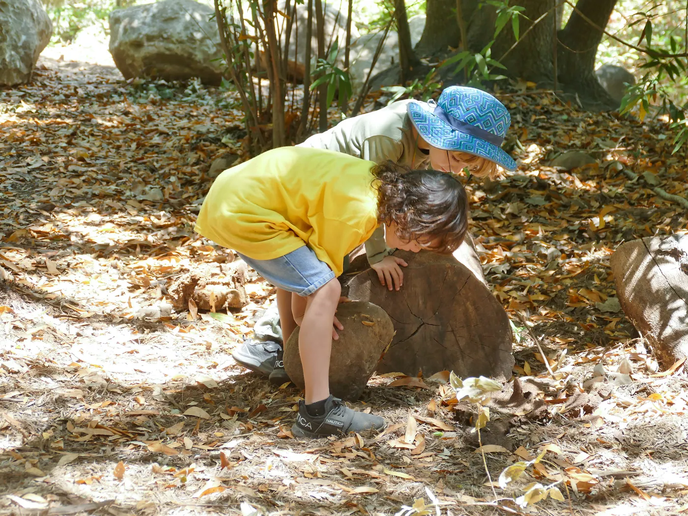Acorn Adventurers Summer Campers looking under rocks