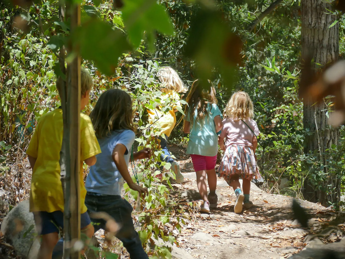 Acorn Adventurers Summer Camp