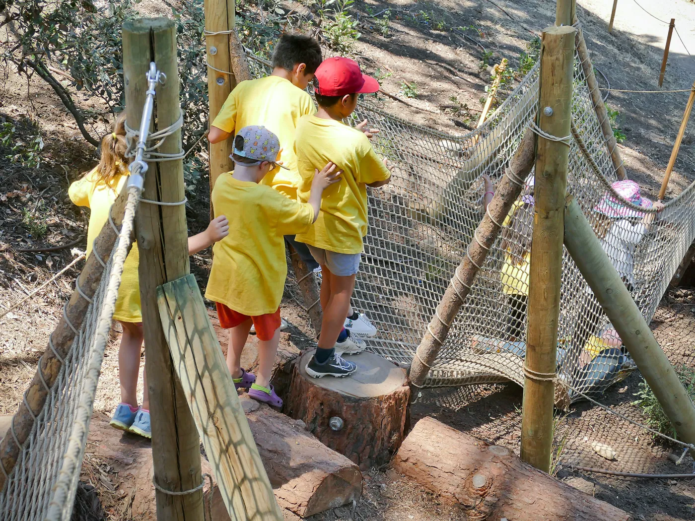 Create in Nature Summer Camp