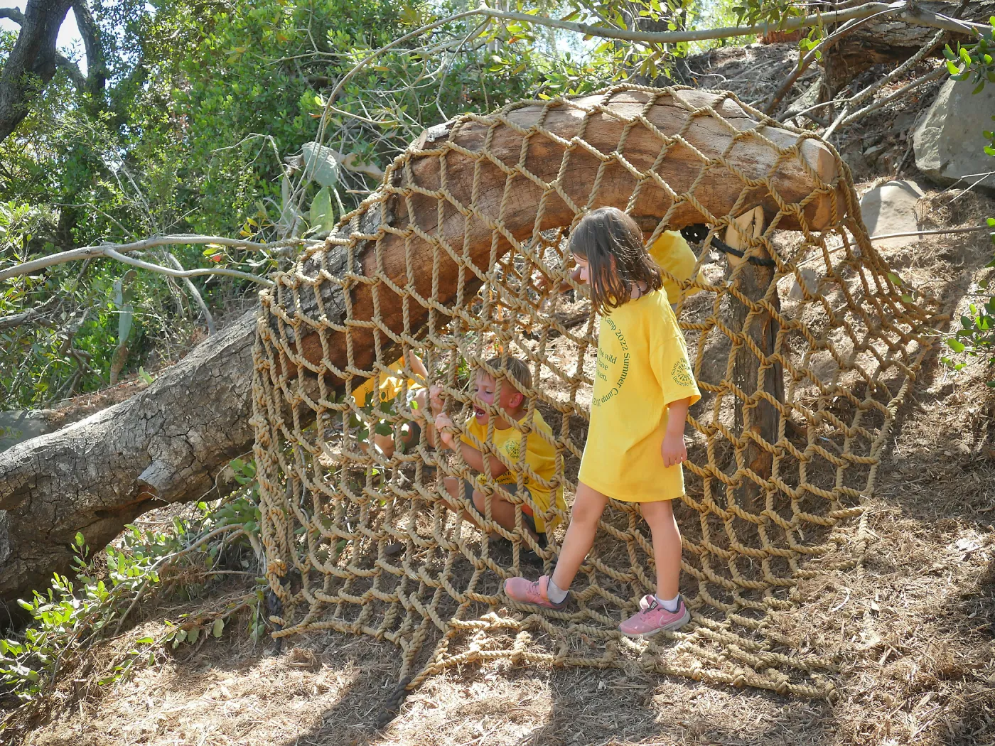Create in Nature Summer Camp