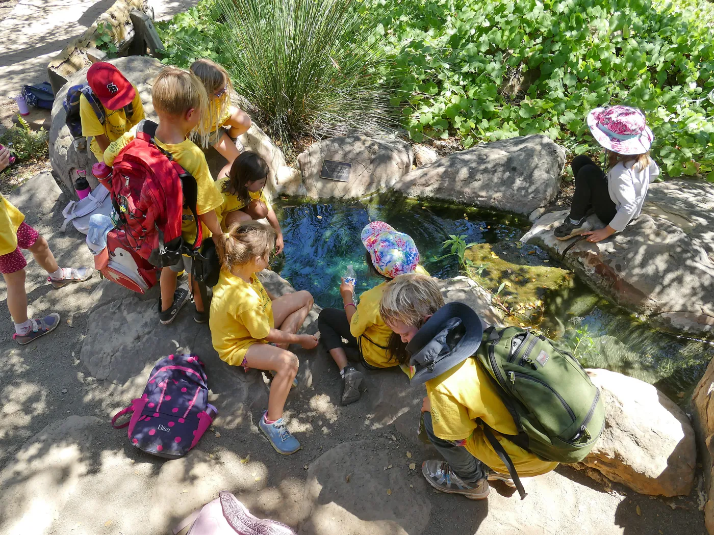 Create in Nature Summer Camp