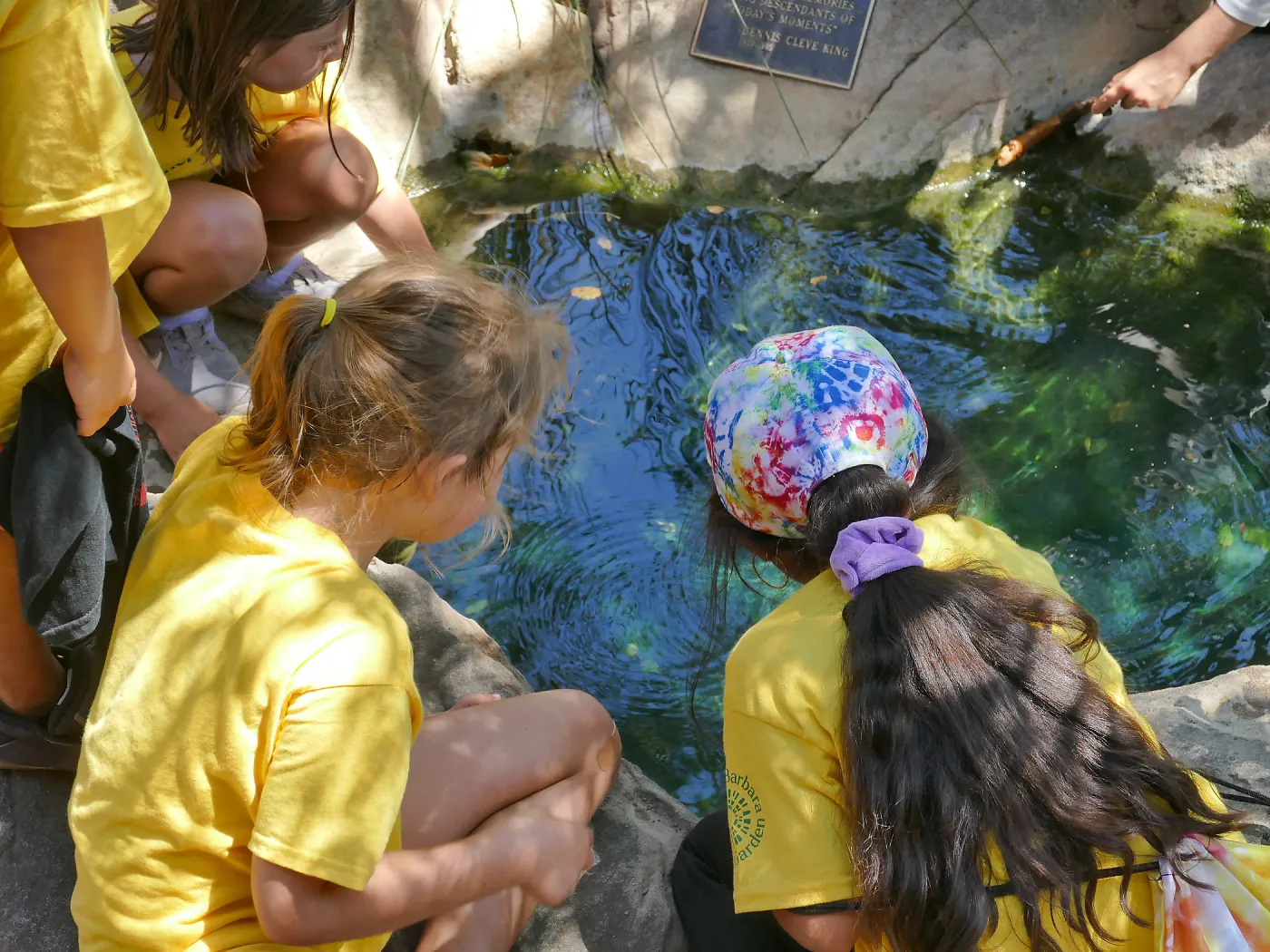 Create in Nature Summer Camp