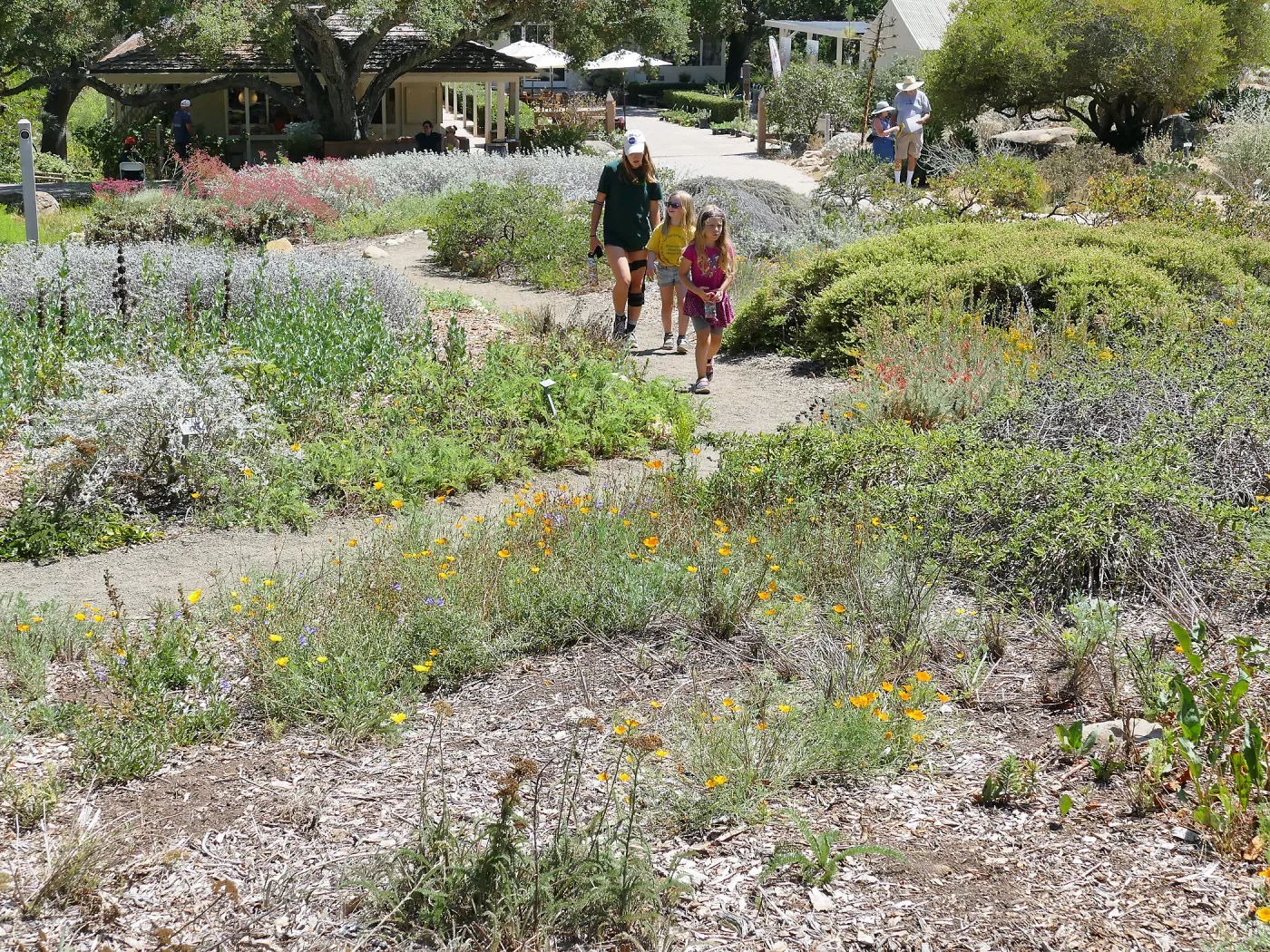 Create in Nature Summer Camp