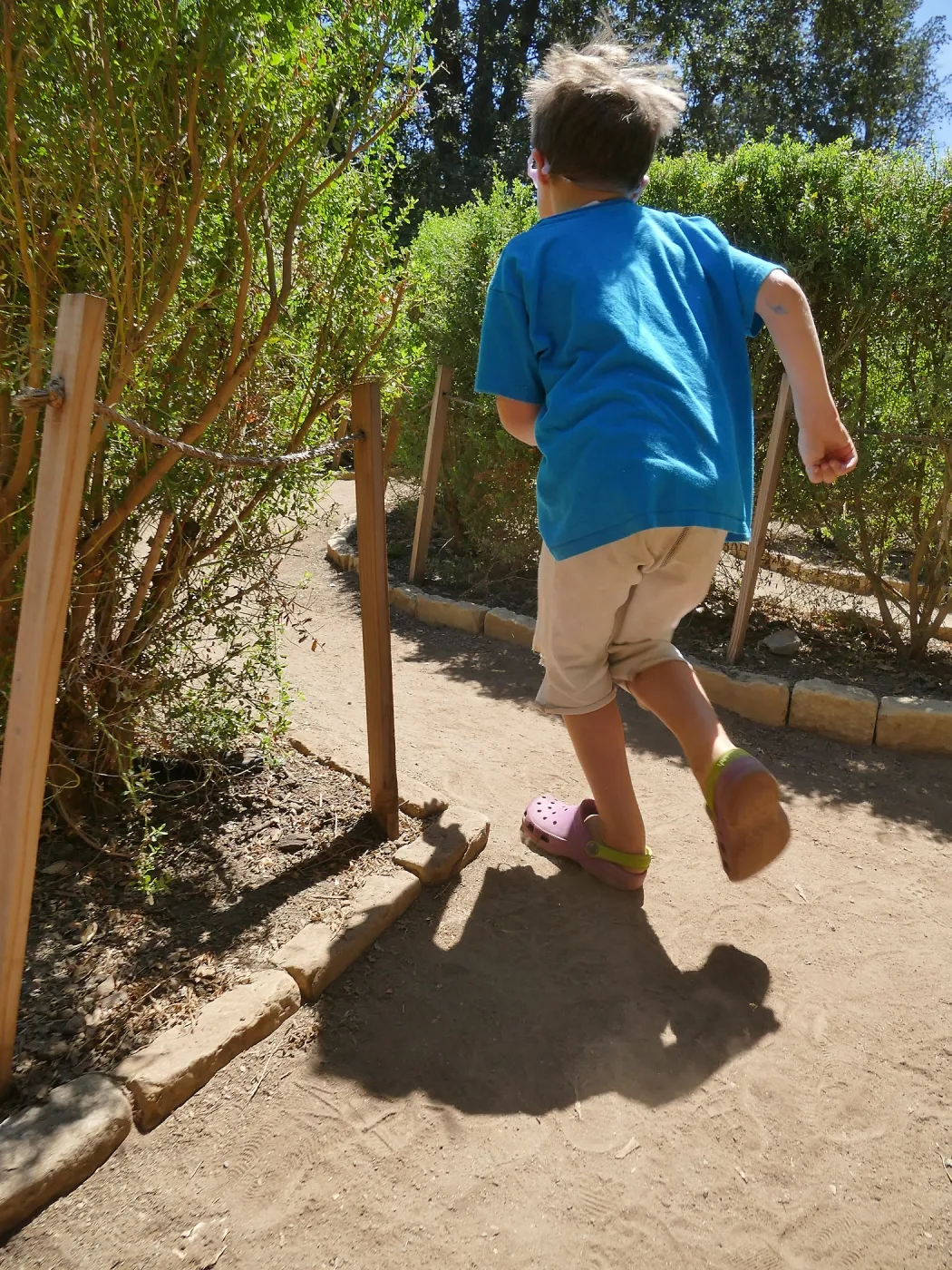 Create in Nature Summer Campers at the Centennial Maze