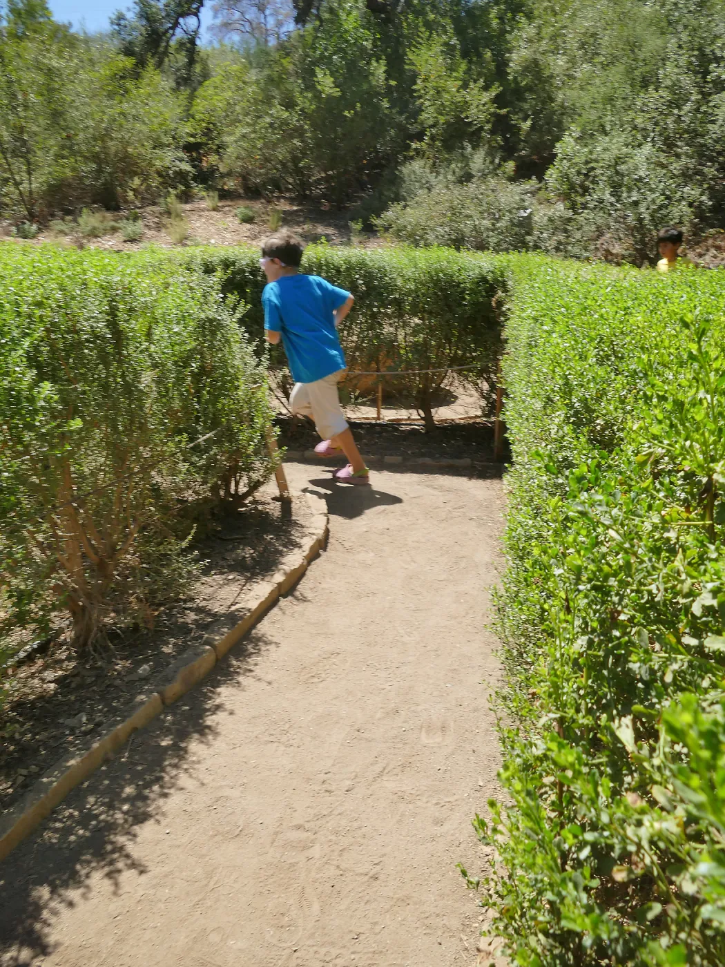 Create in Nature Summer Campers at the Centennial Maze