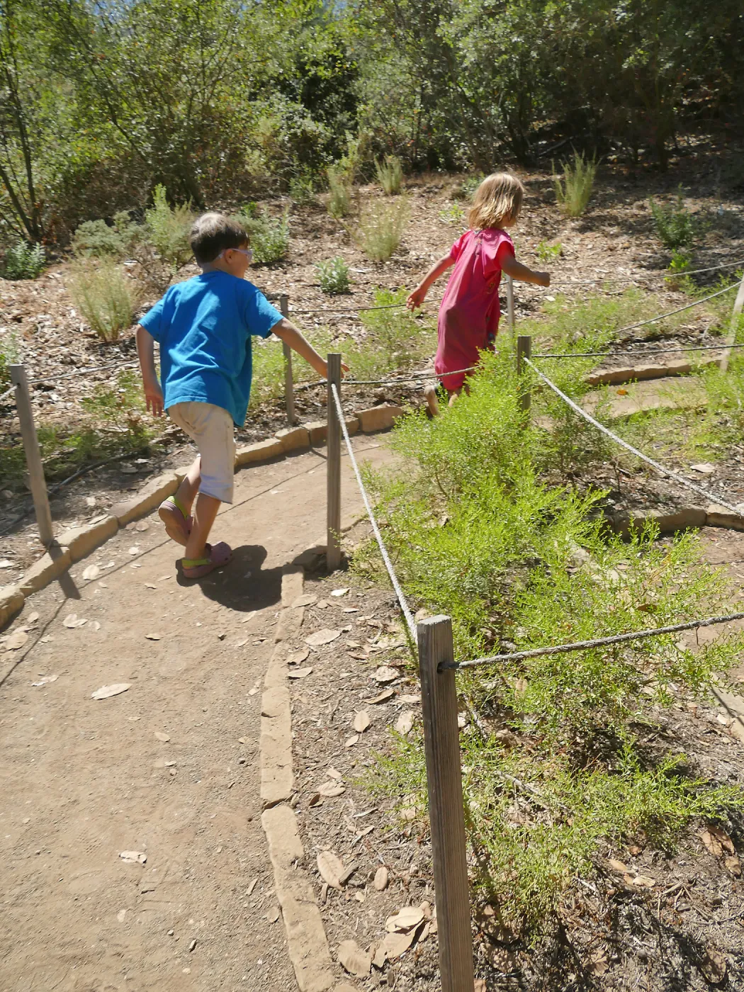 Create in Nature Summer Campers at the Centennial Maze