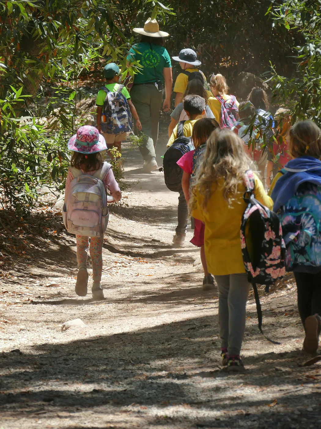 Create in Nature Summer Camp