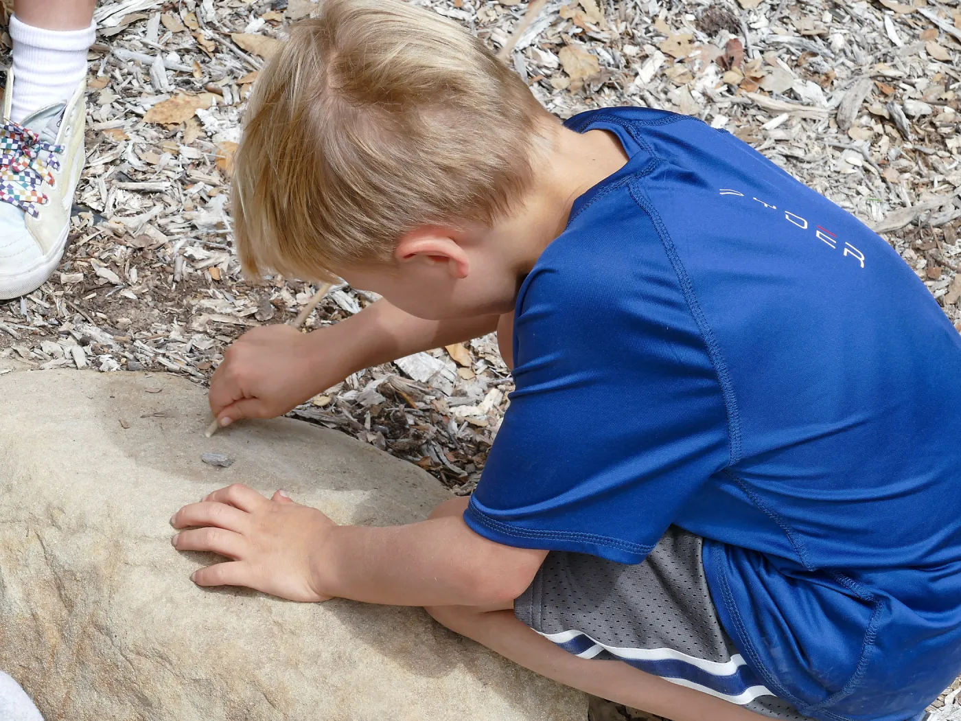 Sense of Nature Summer Camp