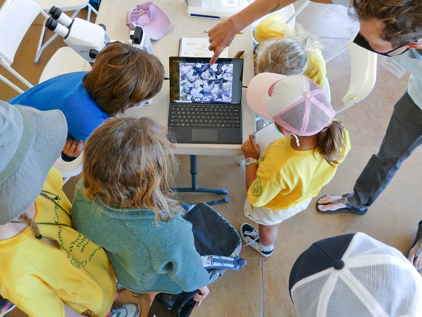 Jr. Naturalist Summer Camp Seed Characteristics Activity