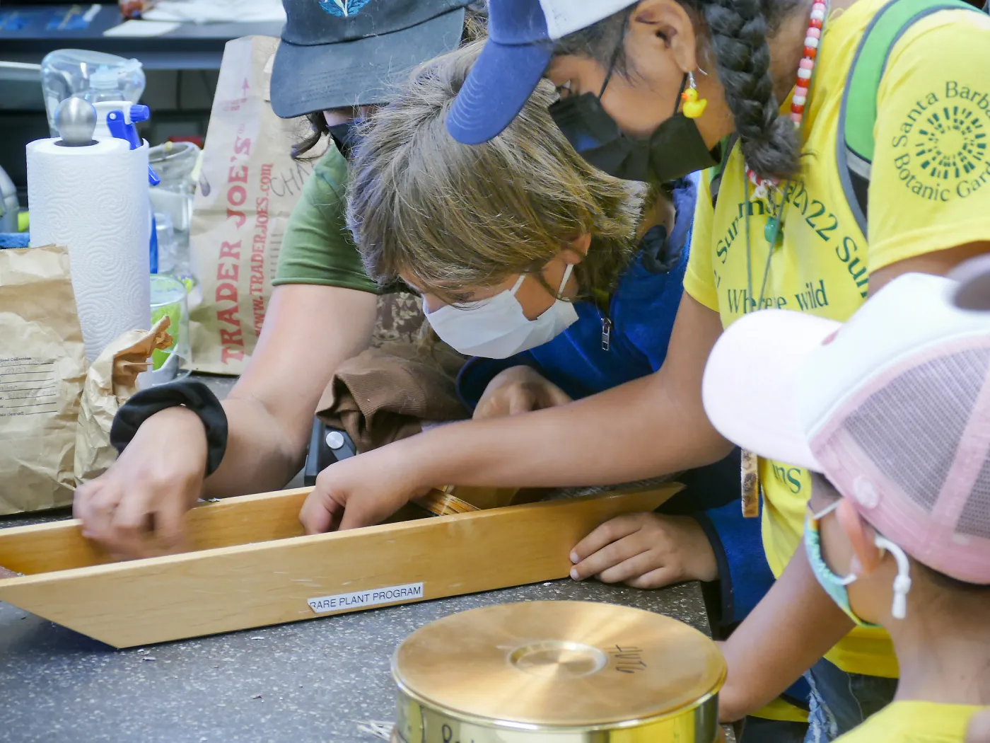 Jr. Naturalist Summer Camp Seed Cleaning Activity