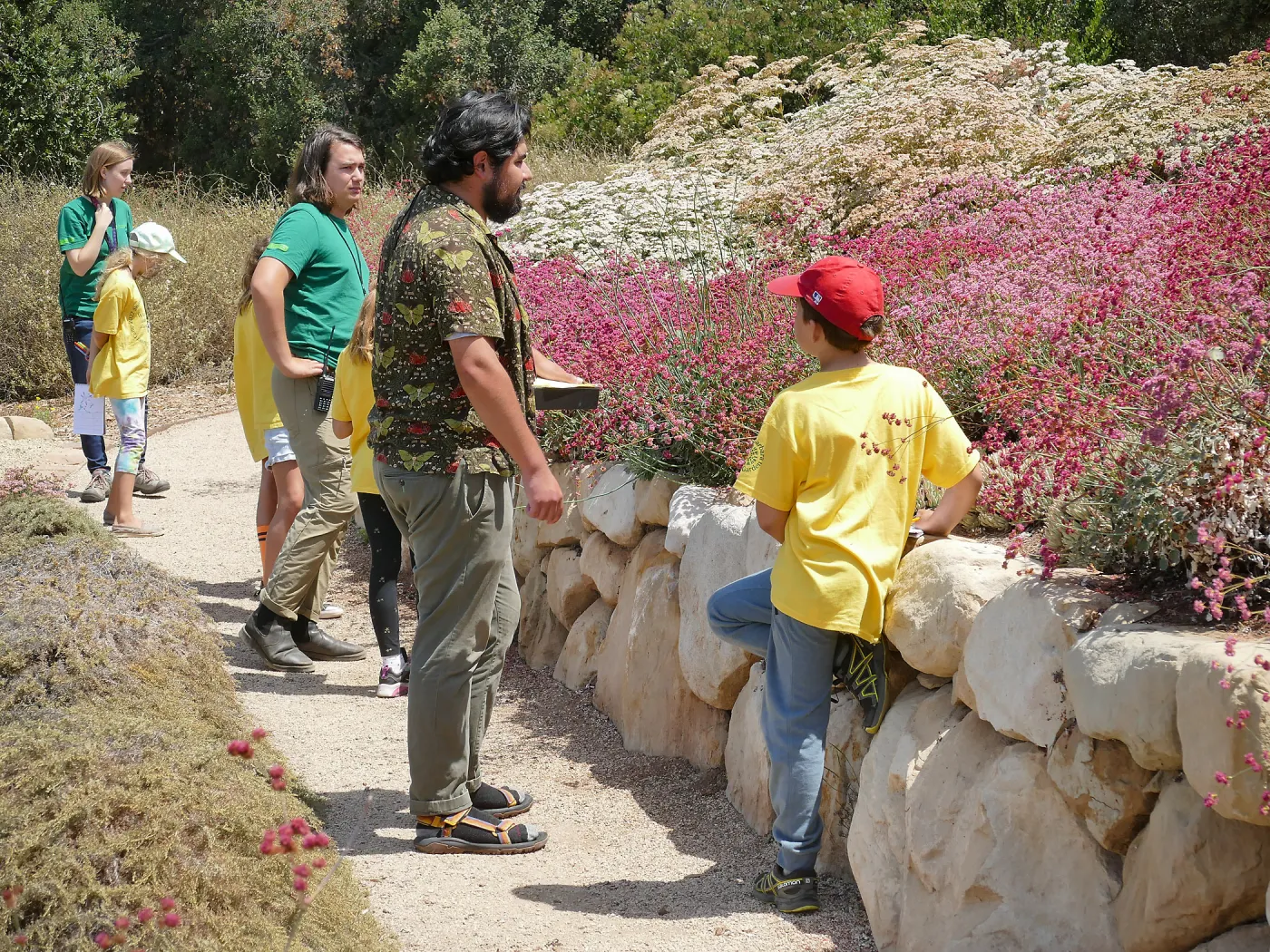 Jr. Naturalist Summer Camp Pollinator Survey Activity