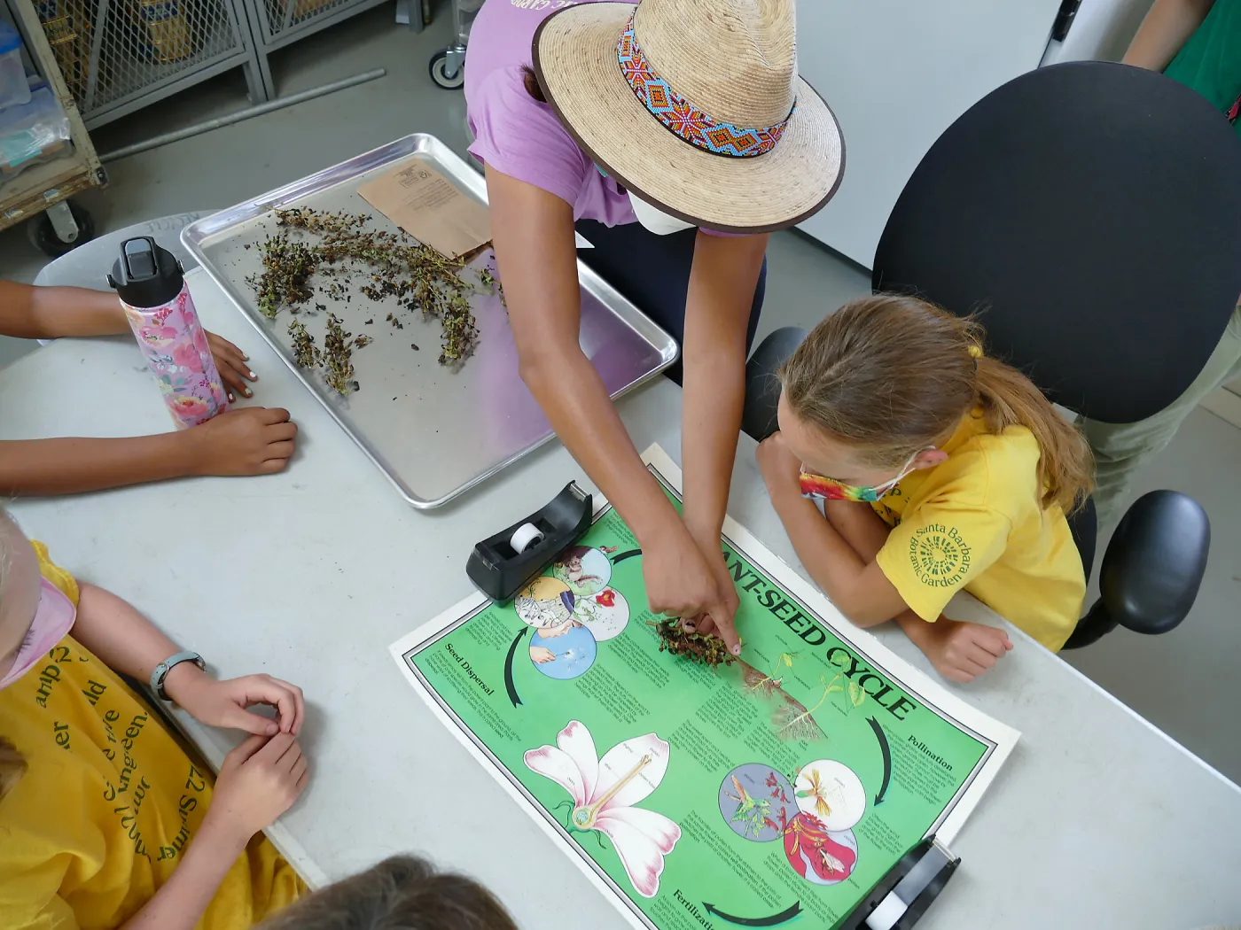 Jr. Naturalist Summer Camp Horticulture Unit Tour