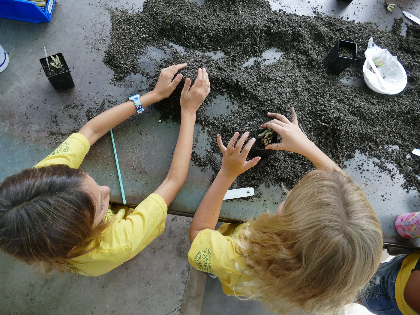 Jr. Naturalist Summer Camp Plant Propagation Activity