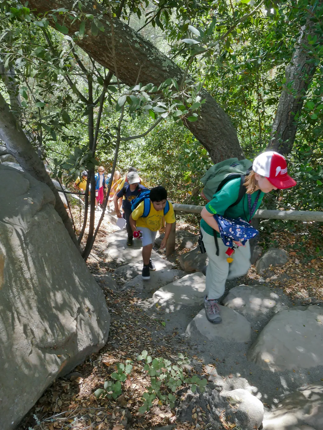 Jr. Naturalist Summer Camp