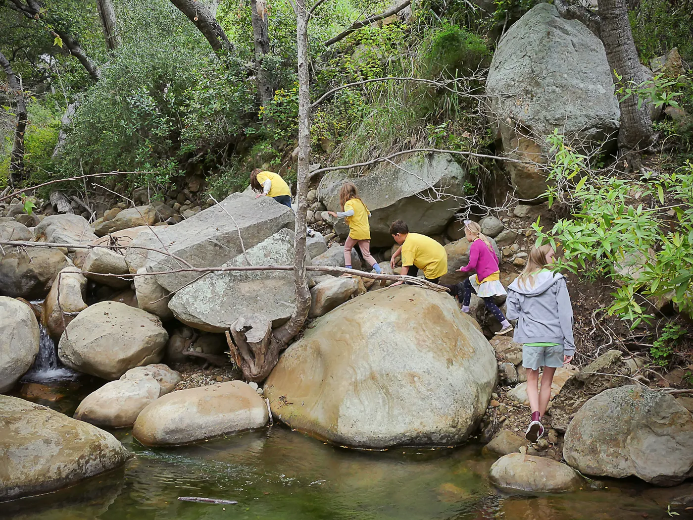 Neighbors in Nature Summer Camp, Mission Creek exploration activity