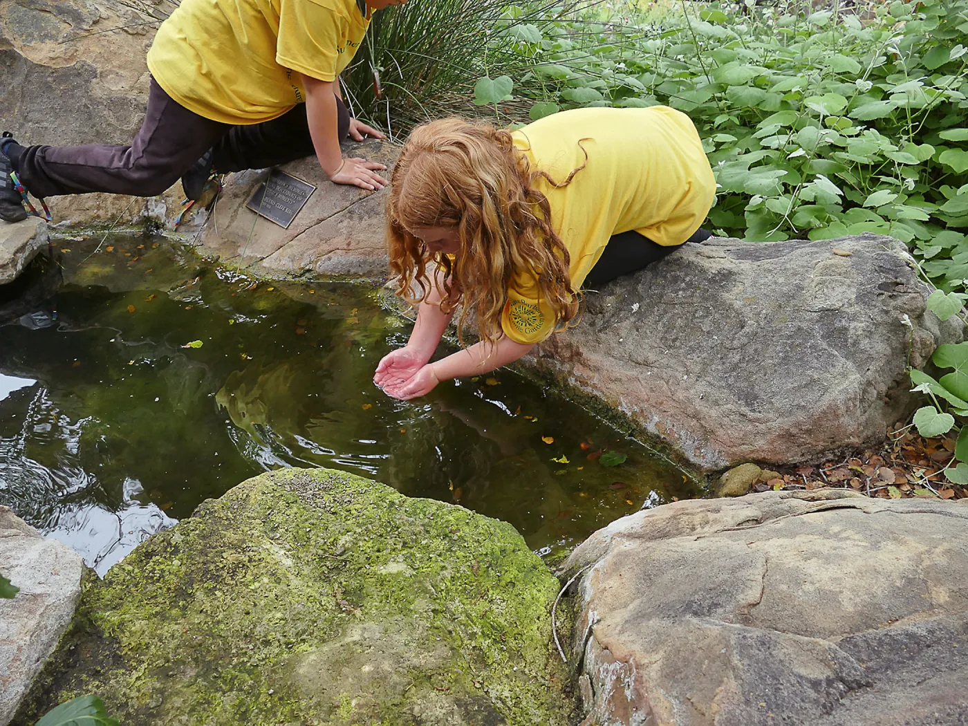Neighbors in Nature Summer Camp