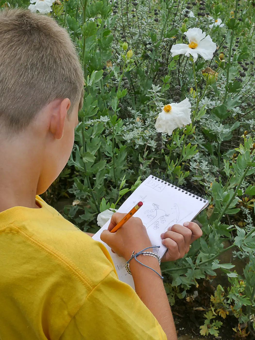 Neighbors in Nature Summer Camp, Plant identification and journaling activity